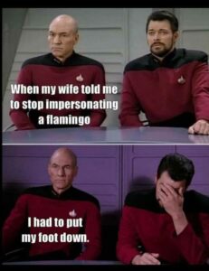 Star Trek meme